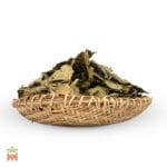 Caapi Leaves (Banisteriopsis Caapi) - Whole Cielo Yellow Caapi Leaves, Shipibo-Conibo tribe, from Peru