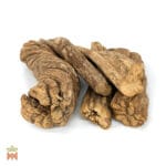 0002-2273 – Banisteriopsis caapi – Peru, White, vine, whole_B Banisteriopsis Caapi - White Caapi, Whole White Ayahuasca Vine from the Shipibo-Conibo, Peru