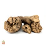 0002-2273 – Banisteriopsis caapi – Peru, White, vine, whole_E Banisteriopsis Caapi - White Caapi, Whole White Ayahuasca Vine from the Shipibo-Conibo, Peru