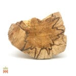 Palo Santo (Bursera Graveolens) - Sustainably Harvested Logs from Peru