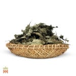 0035-0088 – Salvia divinorum – Mexico, leaves, whole_B Salvia Divinorum - Whole Leaves from Oaxaca Mexico