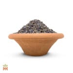 0184-0161 – Lavandula angustifolia – flowers, cut_B