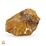 Balsam Fir (Abies balsamea) - Incense Resin from France