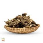 Osha (Ligusticum Porteri) - Whole Root from Mexico