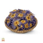 0295-4457 – Nymphaea caerulea – flowers, whole_B